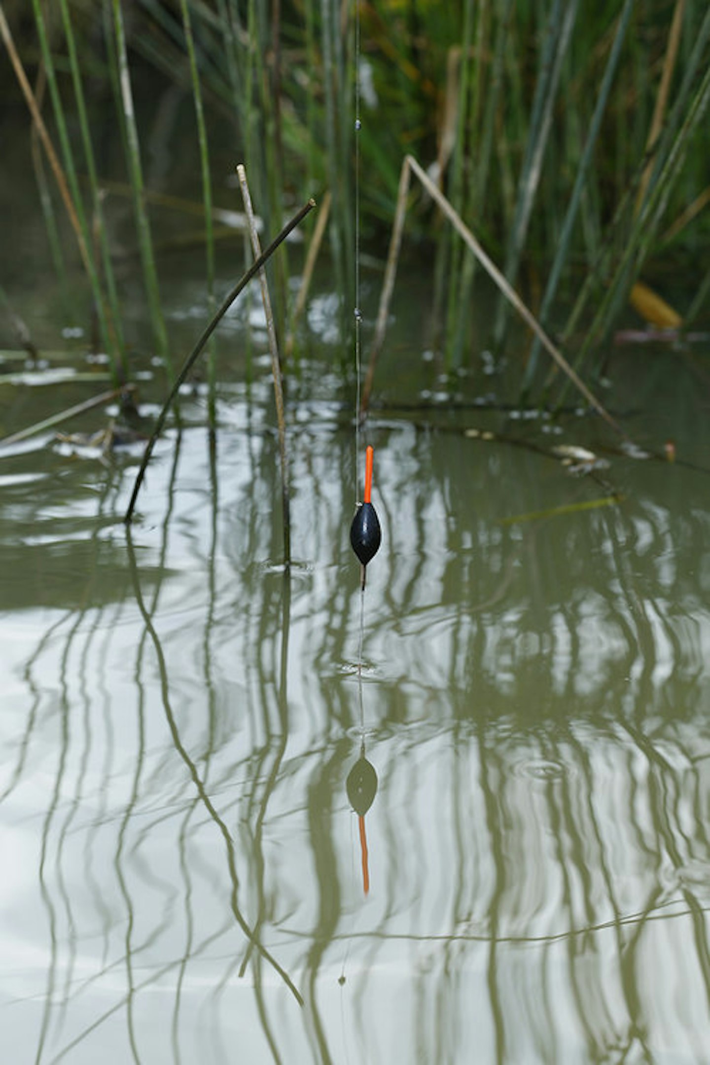 TOP 10 POLE FISHING TIPS Angling Times